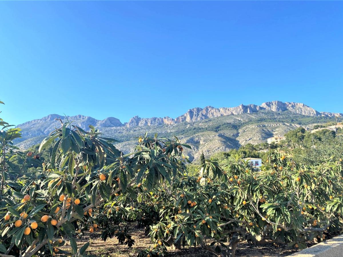 Villa Esmeralda Altea la Vieja Экстерьер фото